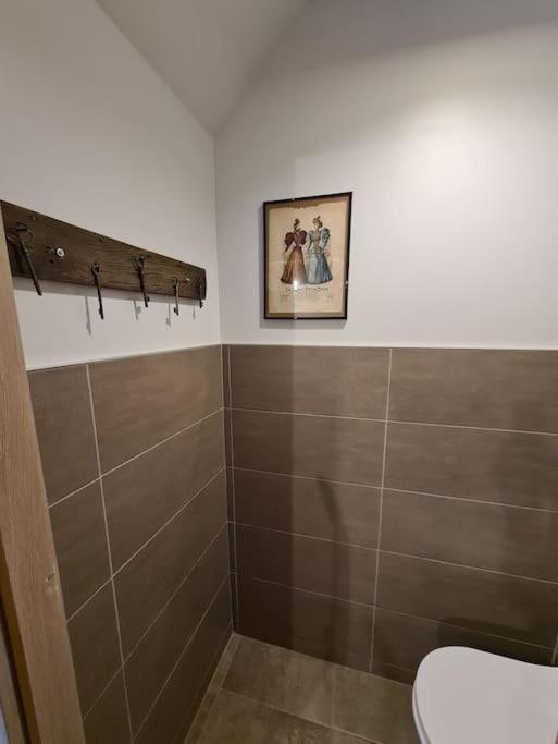 Willa Ancien Sechoir Du 19Eme Siecle Saint-Die-des-Vosges Zewnętrze zdjęcie